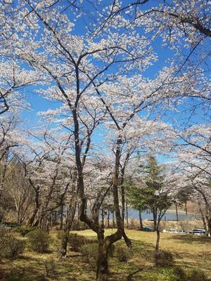 群馬県